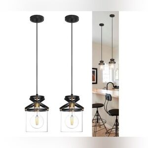 Modern Black and Gold Pendant Light